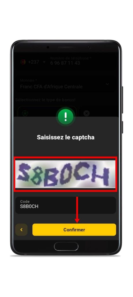 Saisissez le captcha et cliquez sur "Confirmer"