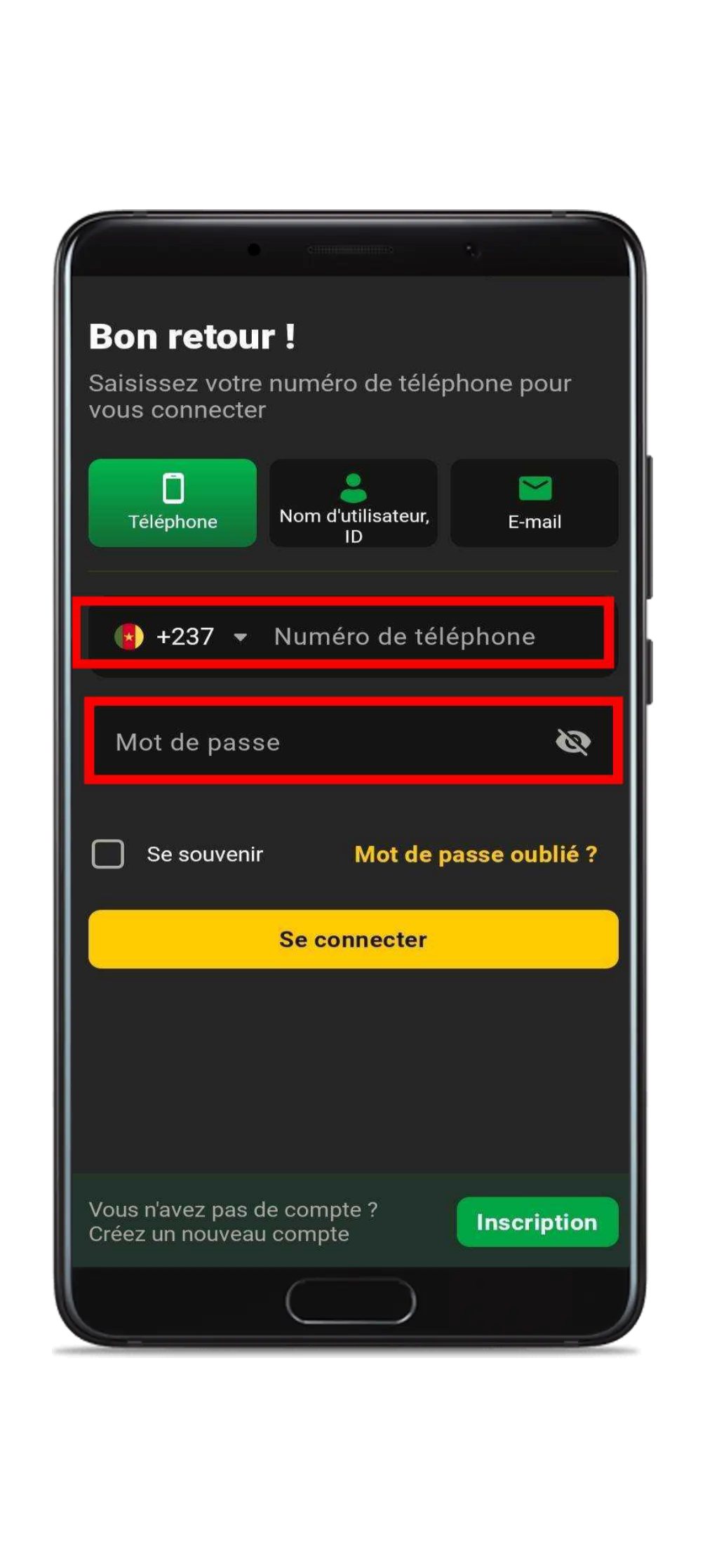 Entrez vos informations personnelles et cliquez sur "se connecter"