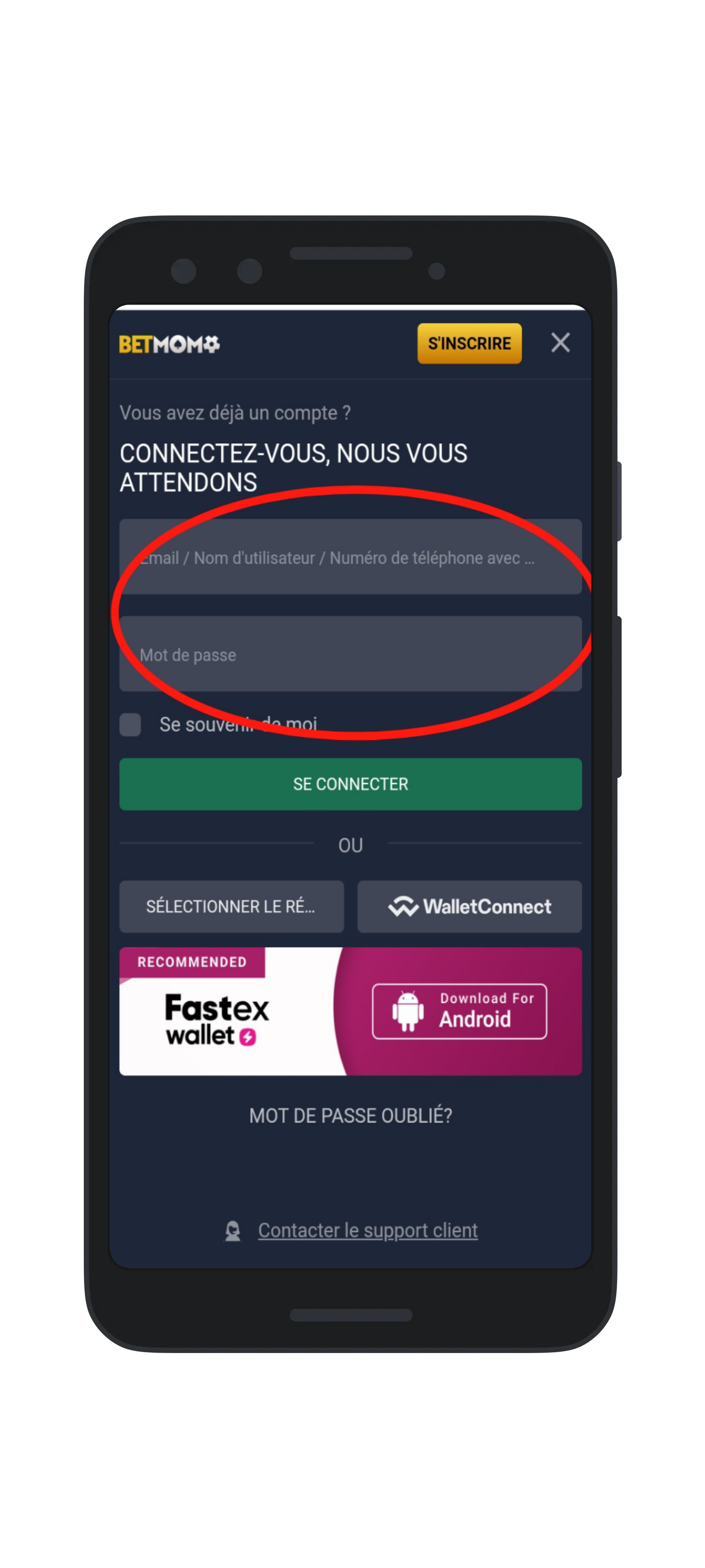 Remplir vos identifiants de connexion et cliquez sur "Se connecter"