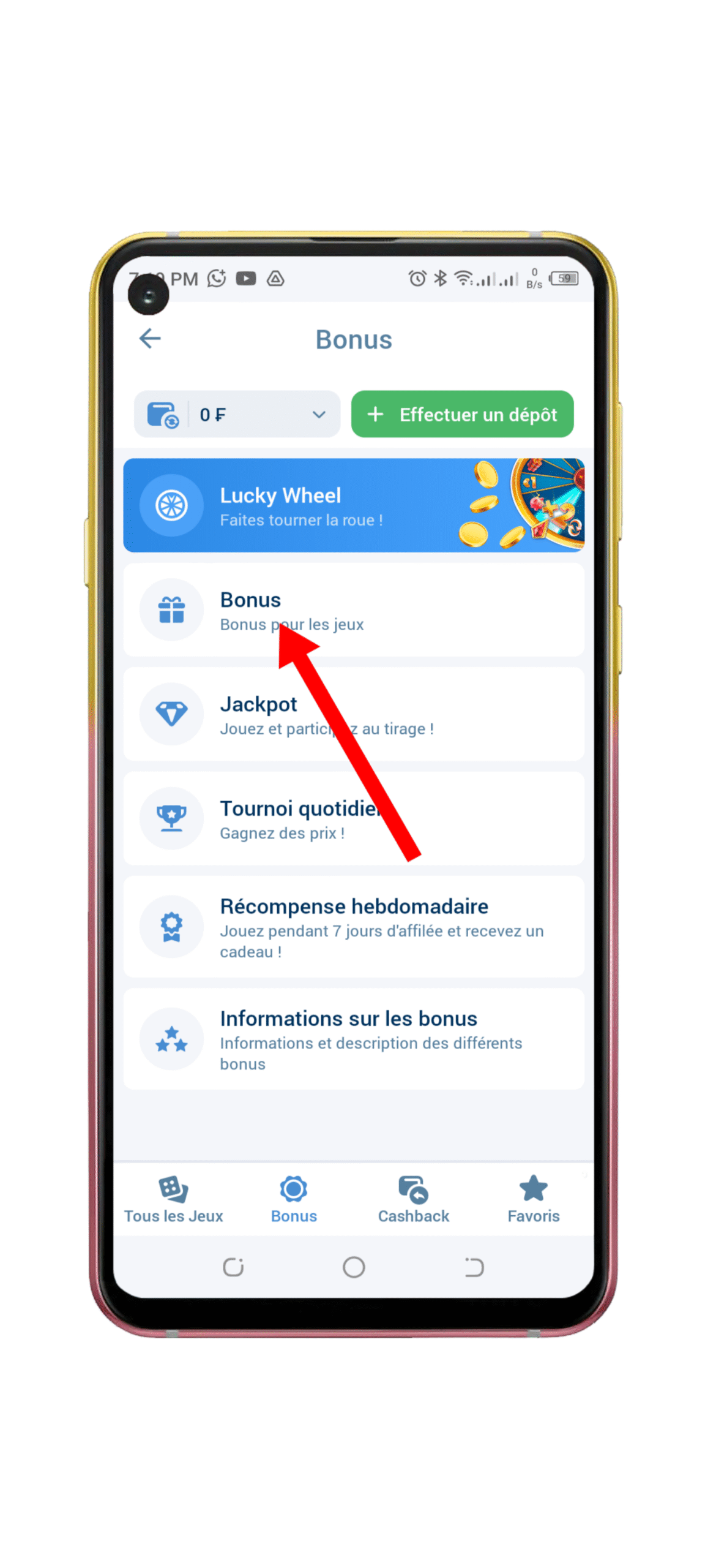 consulter la section « Bonus »