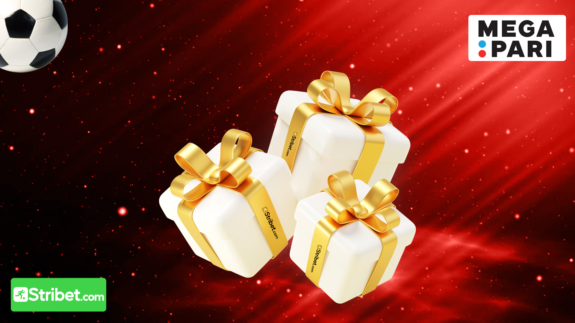 Quels sont les autres types de bonus de Megapari ?