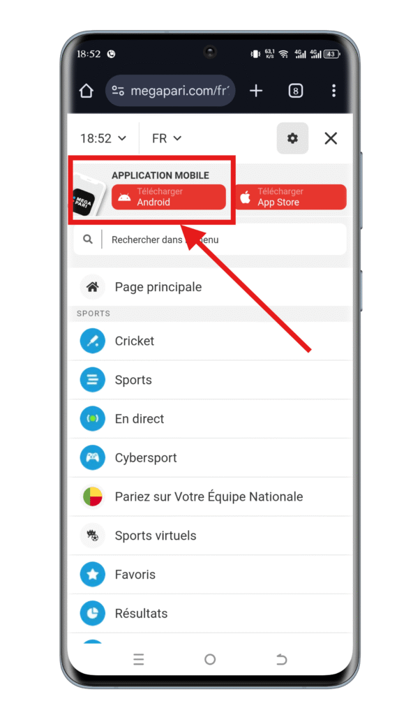 Sélectionner l'option « Application mobile »