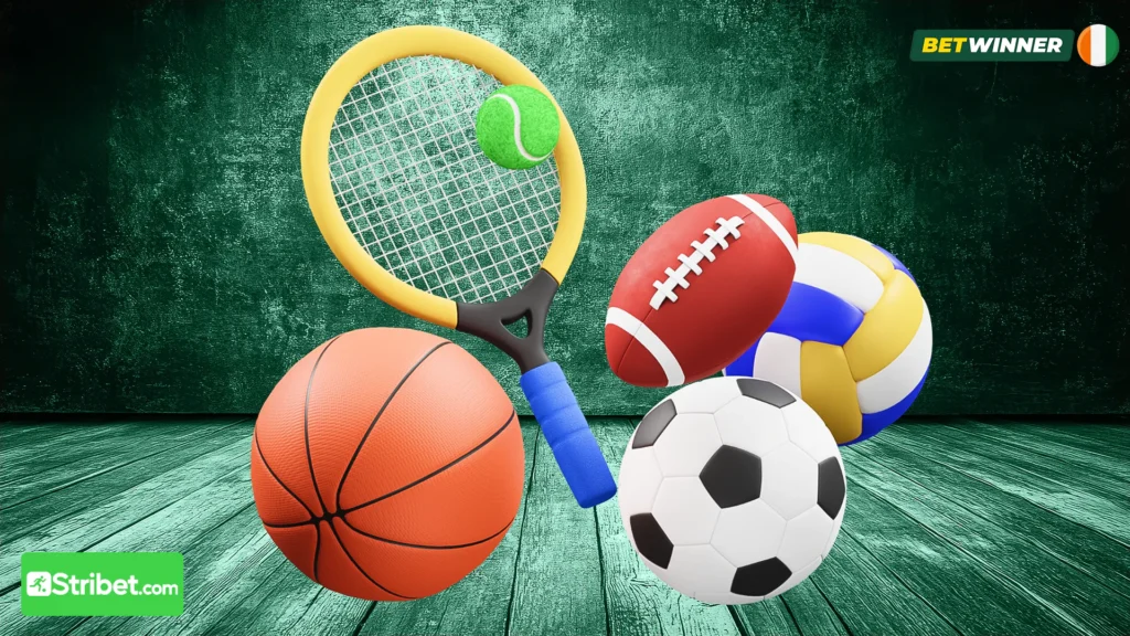 Les types de paris sur BetWinner Apk