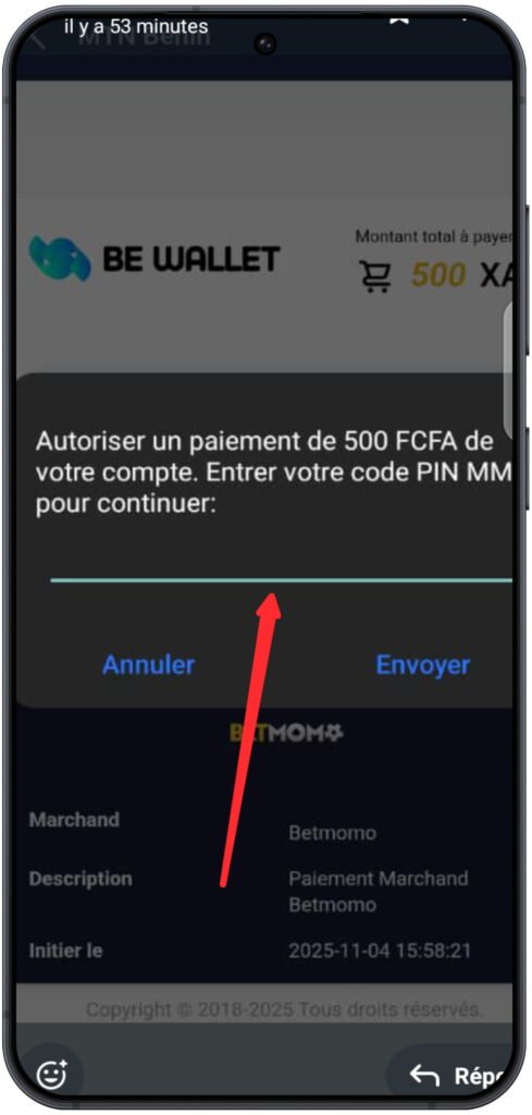 Confirmer le paiement