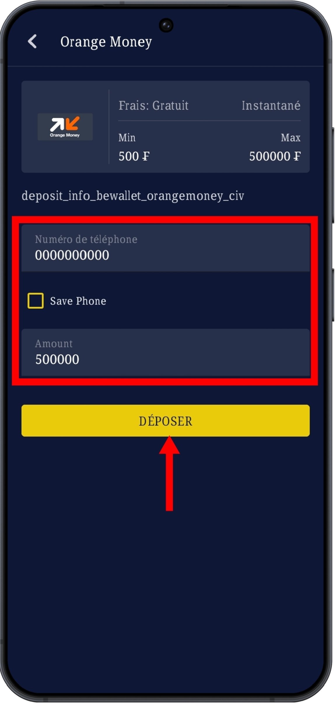 Renseigner les informations et cliquer sur « Déposer »
