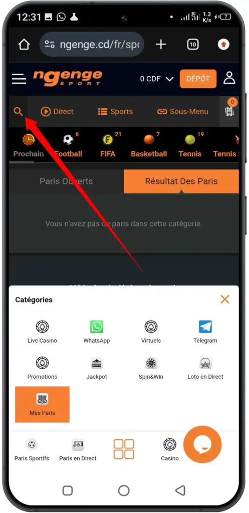 Entrez le code du ticket et appuyez sur « Vérifier »