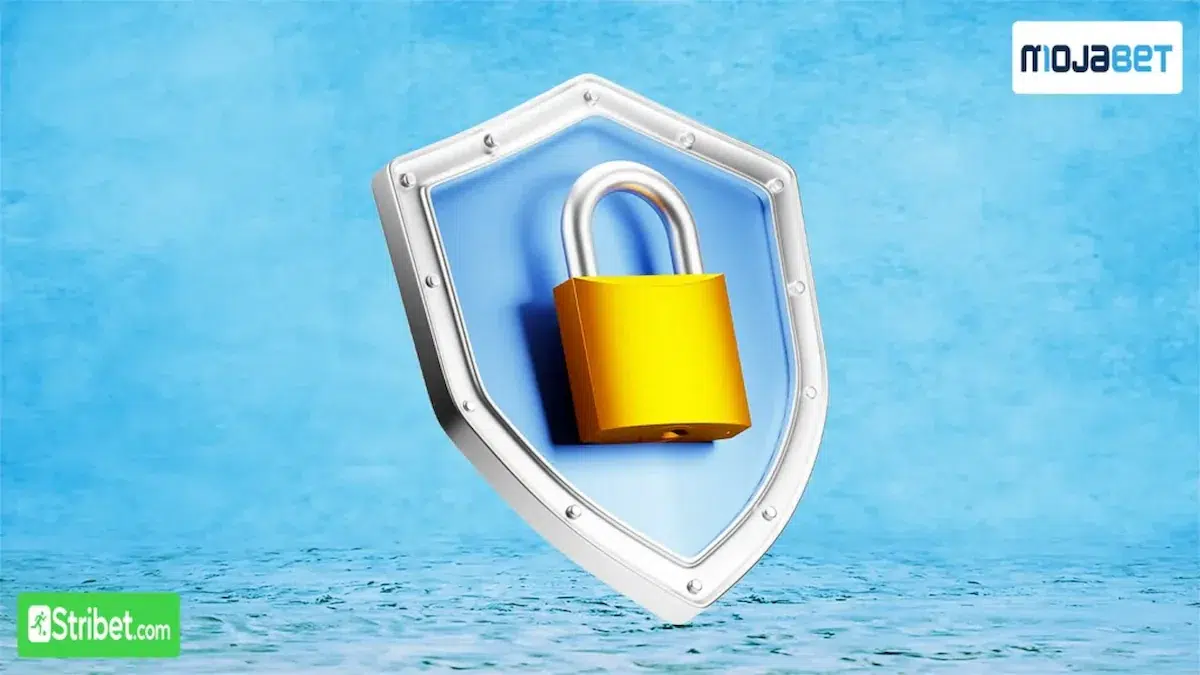 Sécurité et régulation de Mojabet